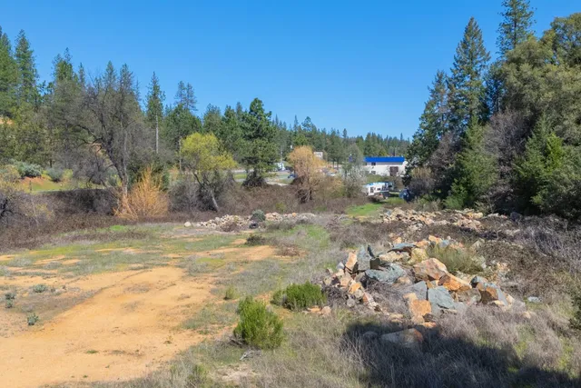 a view of a yard with trees