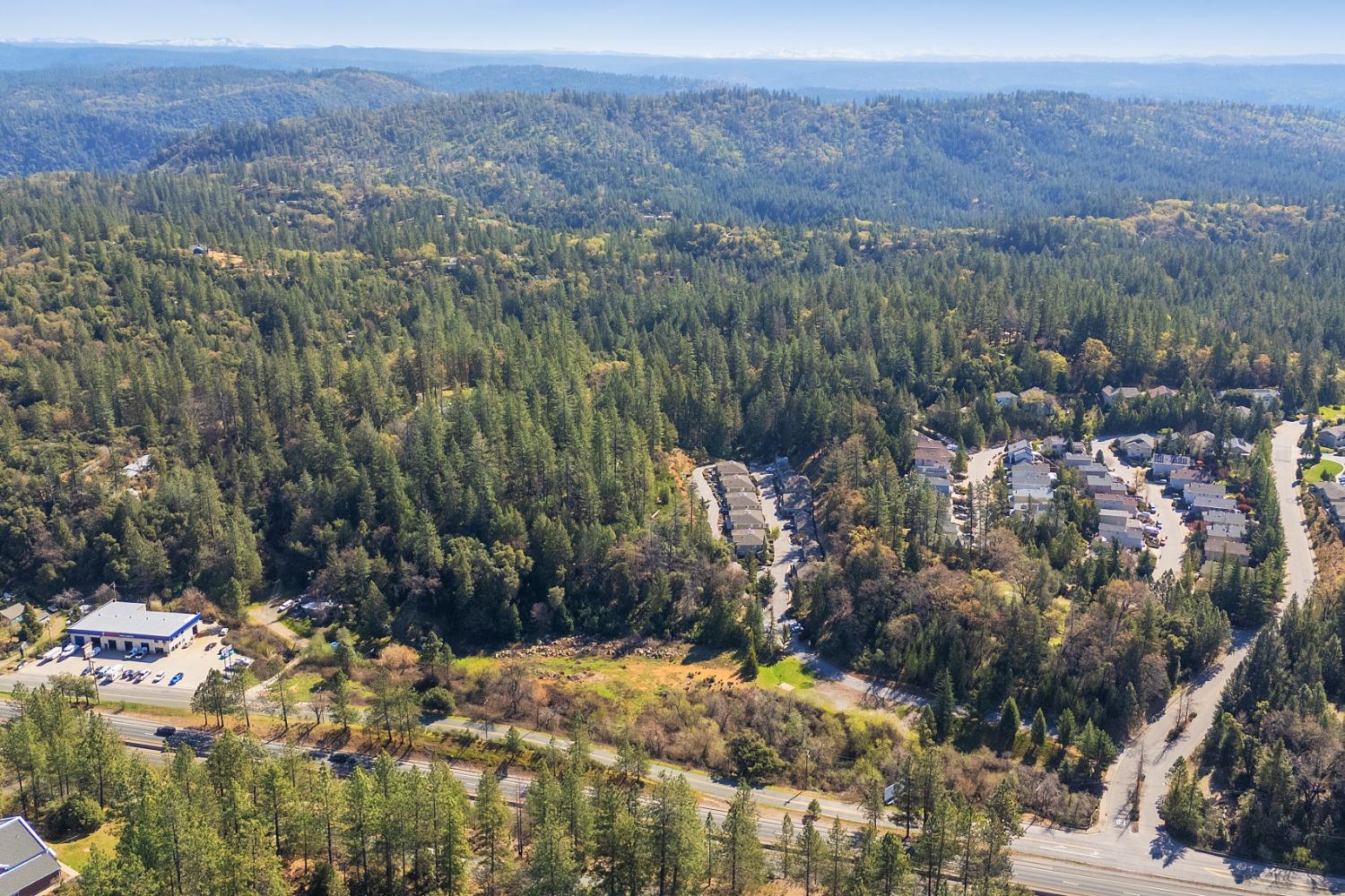 1836 Canyon Way Colfax, CA 95713 - Photo 4 of 25 a view of a yard with a tree