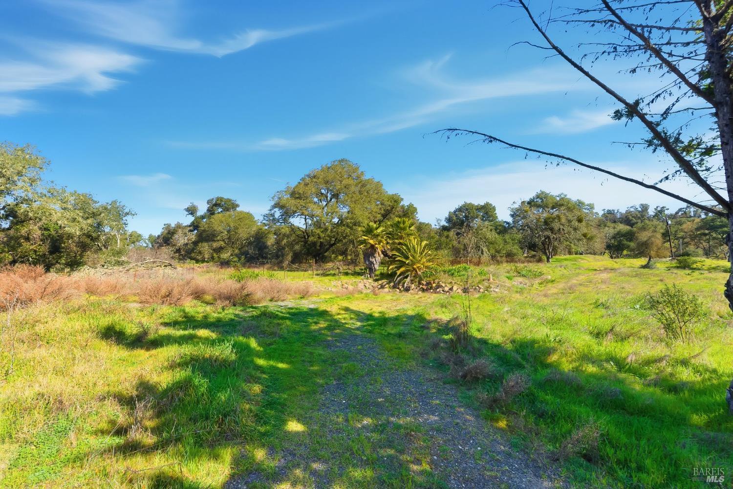 1477 Leslie Road Healdsburg, CA 95448 - Photo 16 of 40 a view of a big yard with large trees