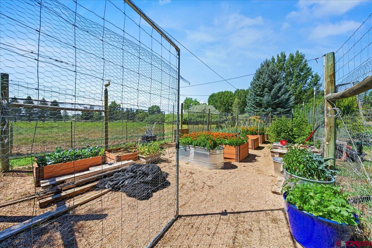16470 6300th Road Montrose, CO 81403 - Photo 26 of 35 a view of a patio with a table chairs and a backyard