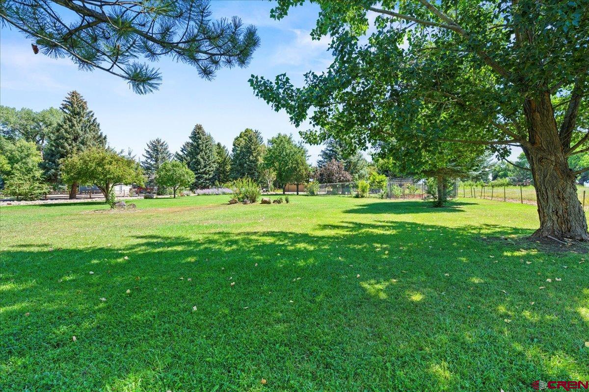 16470 6300th Road Montrose, CO 81403 - Photo 33 of 35 a view of a golf course with a big yard
