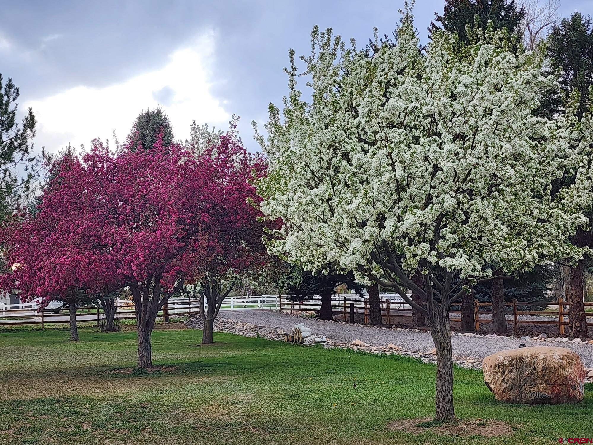 16470 6300th Road Montrose, CO 81403 - Photo 34 of 35 a view of a park with large trees