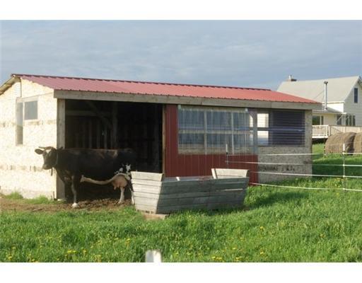 85 Center Limestone Road Fort Fairfield, ME 04742 - Photo 6 of 13 Other. cowbarn & cow (could be yours)