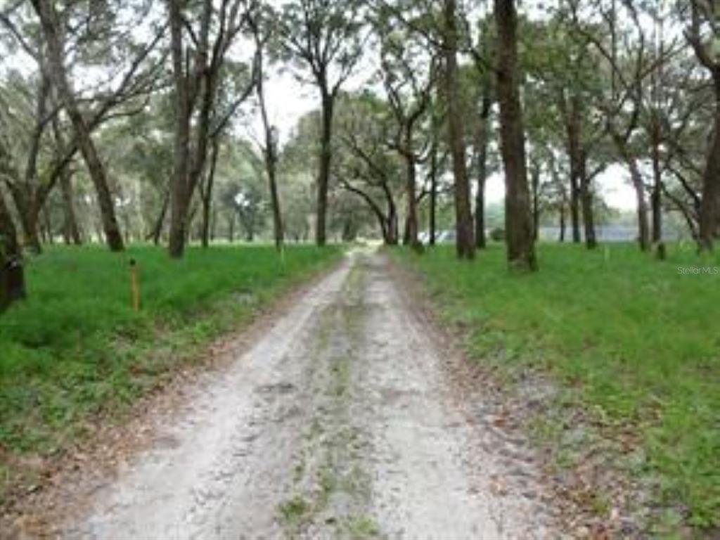 610 Burnsed Road Pierson, FL 32180 - Photo 5 of 14