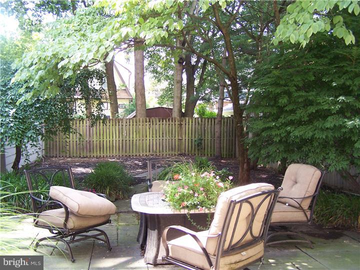 113 West Clearfield Road Havertown, PA 19083 - Photo 24 of 25 Back Yard
