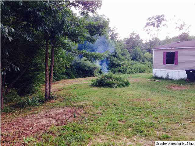 2615 6 Foot Road Ohatchee, AL 36271 - Photo 10 of 22
