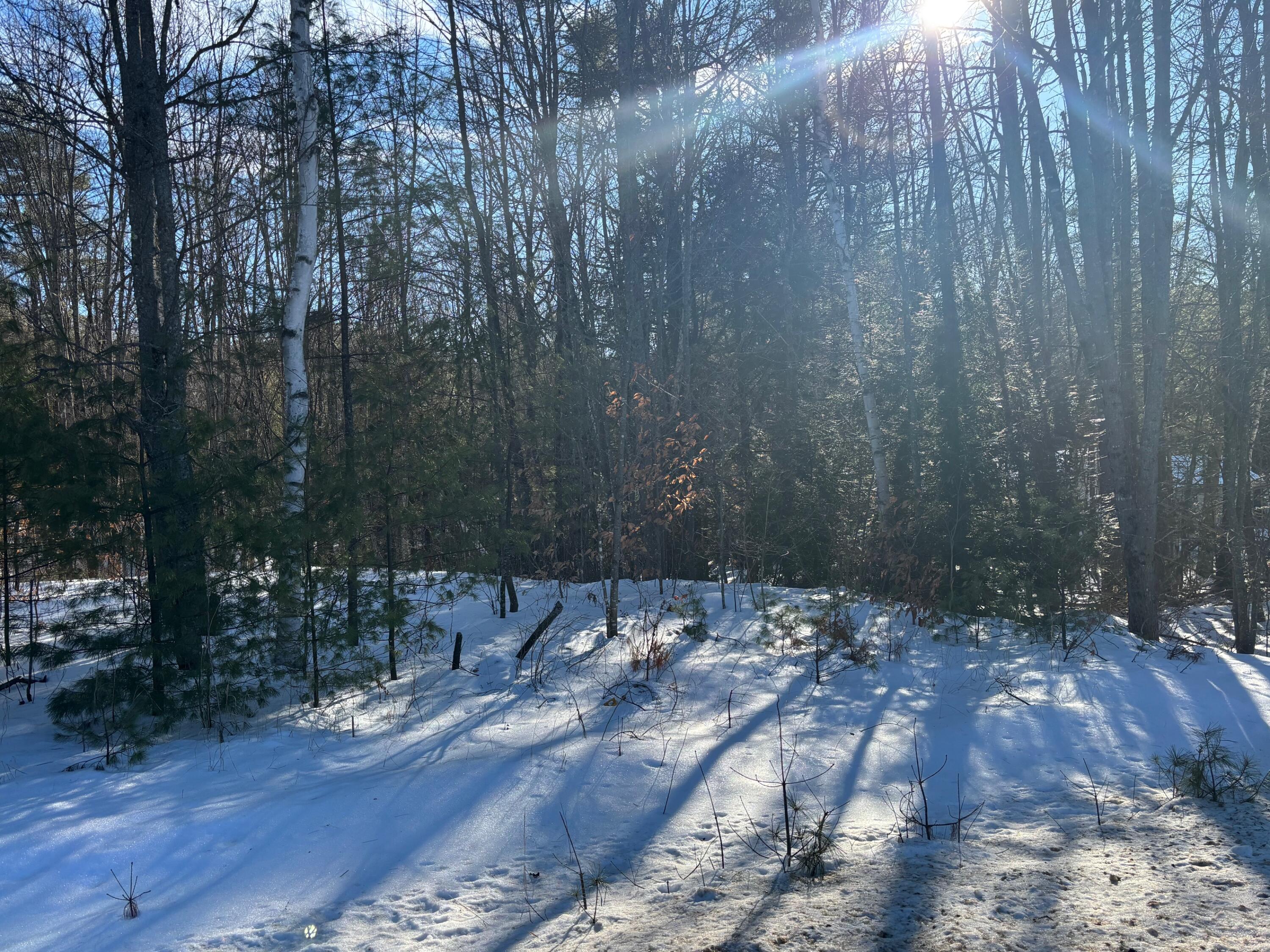 Lot 15-023 Intervale Road Bethel, ME 04217 - Photo 4 of 6 IMG_7155