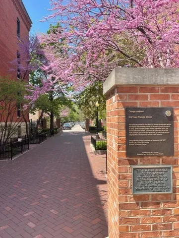 a view of a pathway both side of building