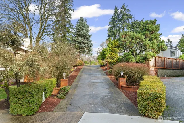 a view of a back yard