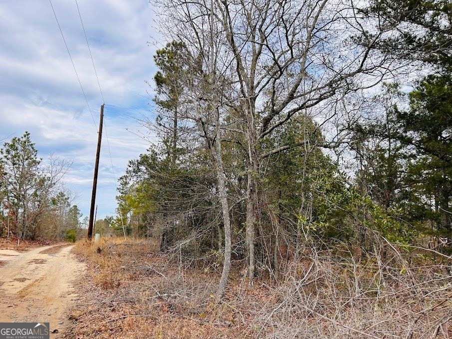 0 Mason Lane Butler, GA 31006 - Photo 1 of 1 Gallery Image 1