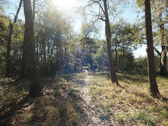 582 River Road Johns Island, SC 29455 - Photo 27 of 31 river27