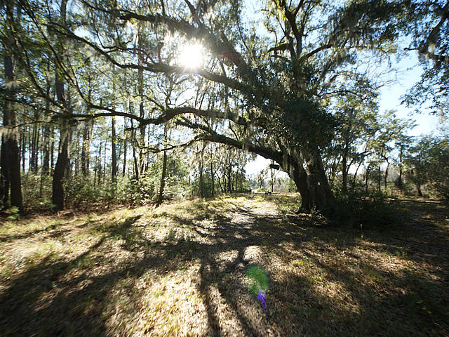 582 River Road Johns Island, SC 29455 - Photo 30 of 31 River30