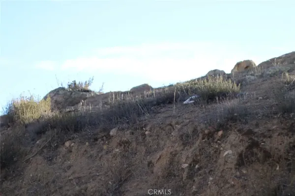 a view of a forest covered with trees