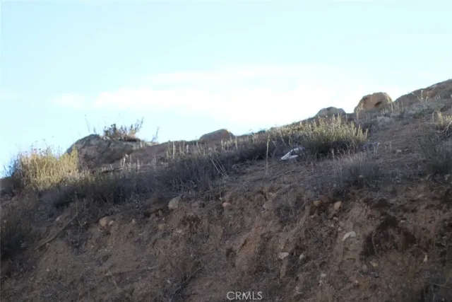 a view of a forest covered with trees