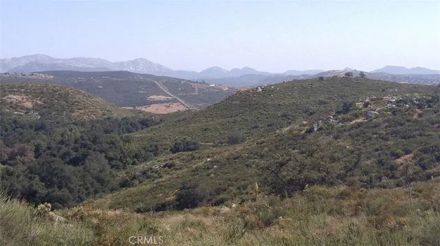 a view of a dry yard