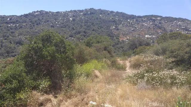 a view of a mountain in the distance