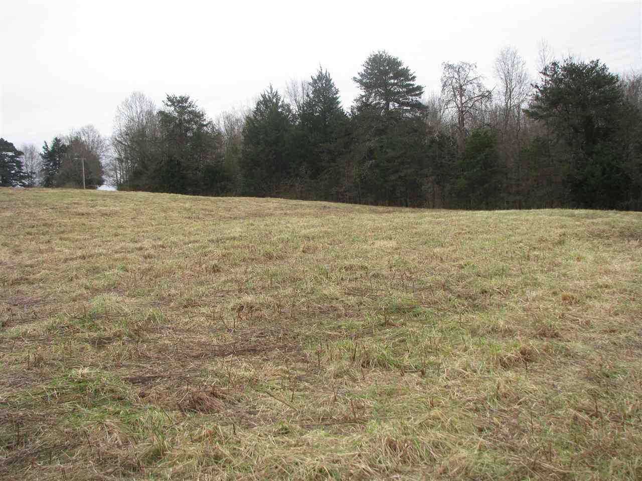0 Grassy Pond Creek Road Gaffney, SC 29341 - Photo 1 of 5 Gallery Image 1