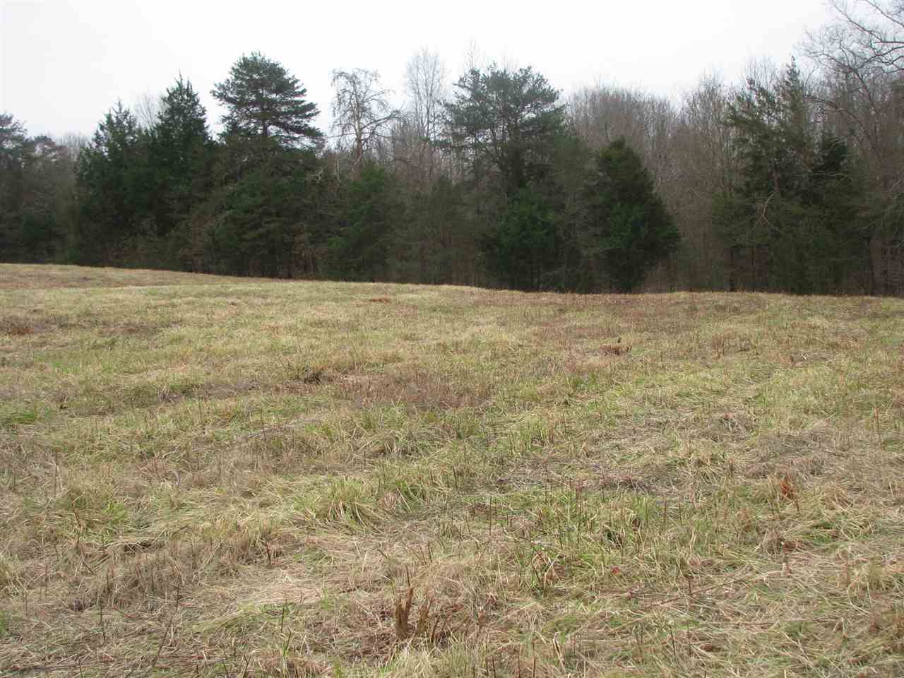 0 Grassy Pond Creek Road Gaffney, SC 29341 - Photo 3 of 5 Gallery Image 3
