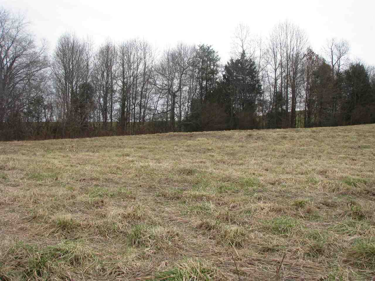 0 Grassy Pond Creek Road Gaffney, SC 29341 - Photo 4 of 5 Gallery Image 4