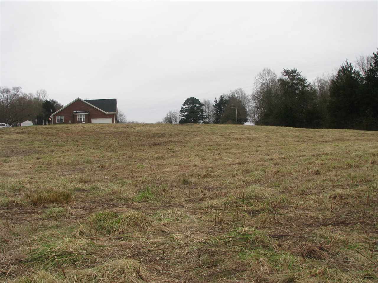 0 Grassy Pond Creek Road Gaffney, SC 29341 - Photo 5 of 5 Gallery Image 5