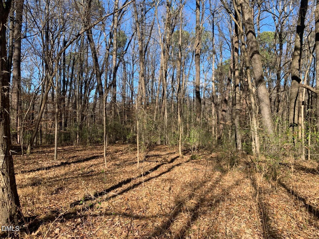 0 Rives Chapel Church Road Siler City, NC 27344 - Photo 12 of 14 r chap int lot5