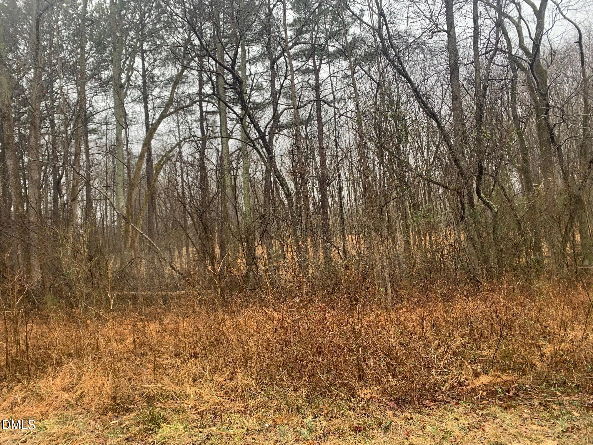 0 Rives Chapel Church Road Siler City, NC 27344 - Photo 15 of 23 a view of lots of trees