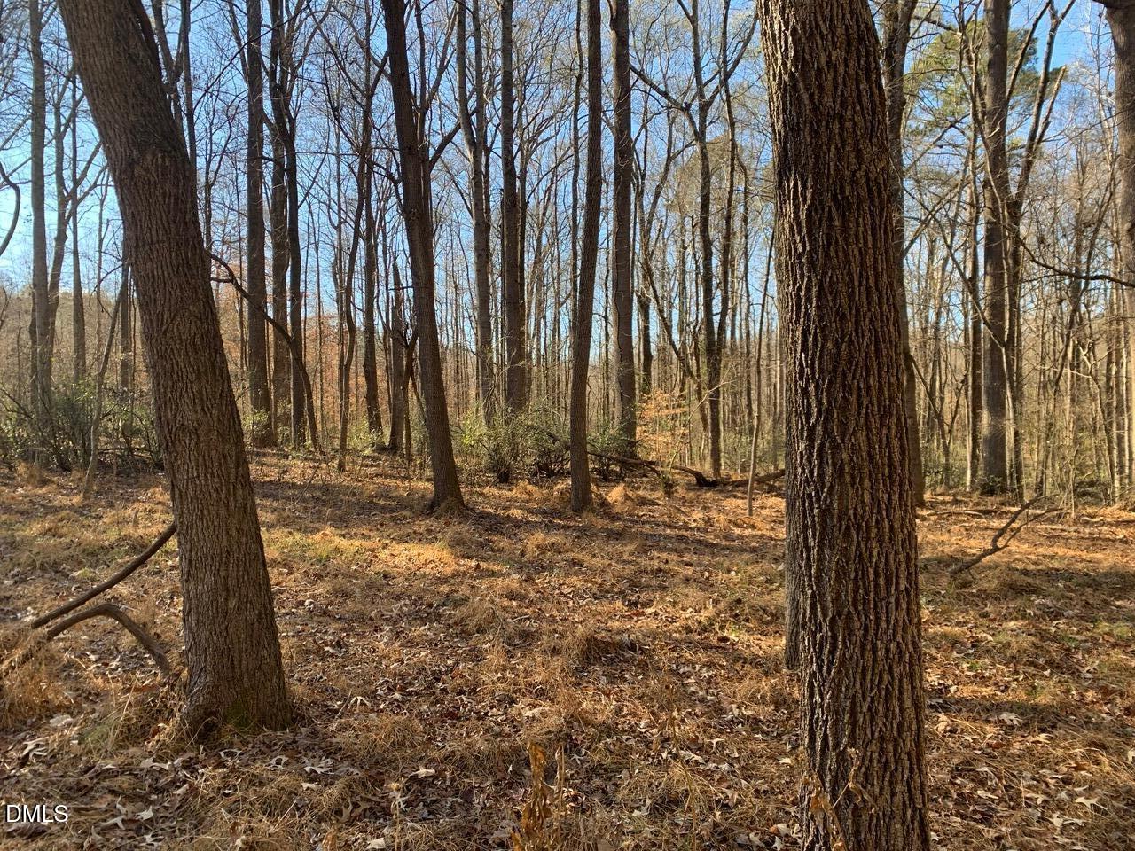 0 Rives Chapel Church Road Siler City, NC 27344 - Photo 16 of 23 a view of a backyard with large trees