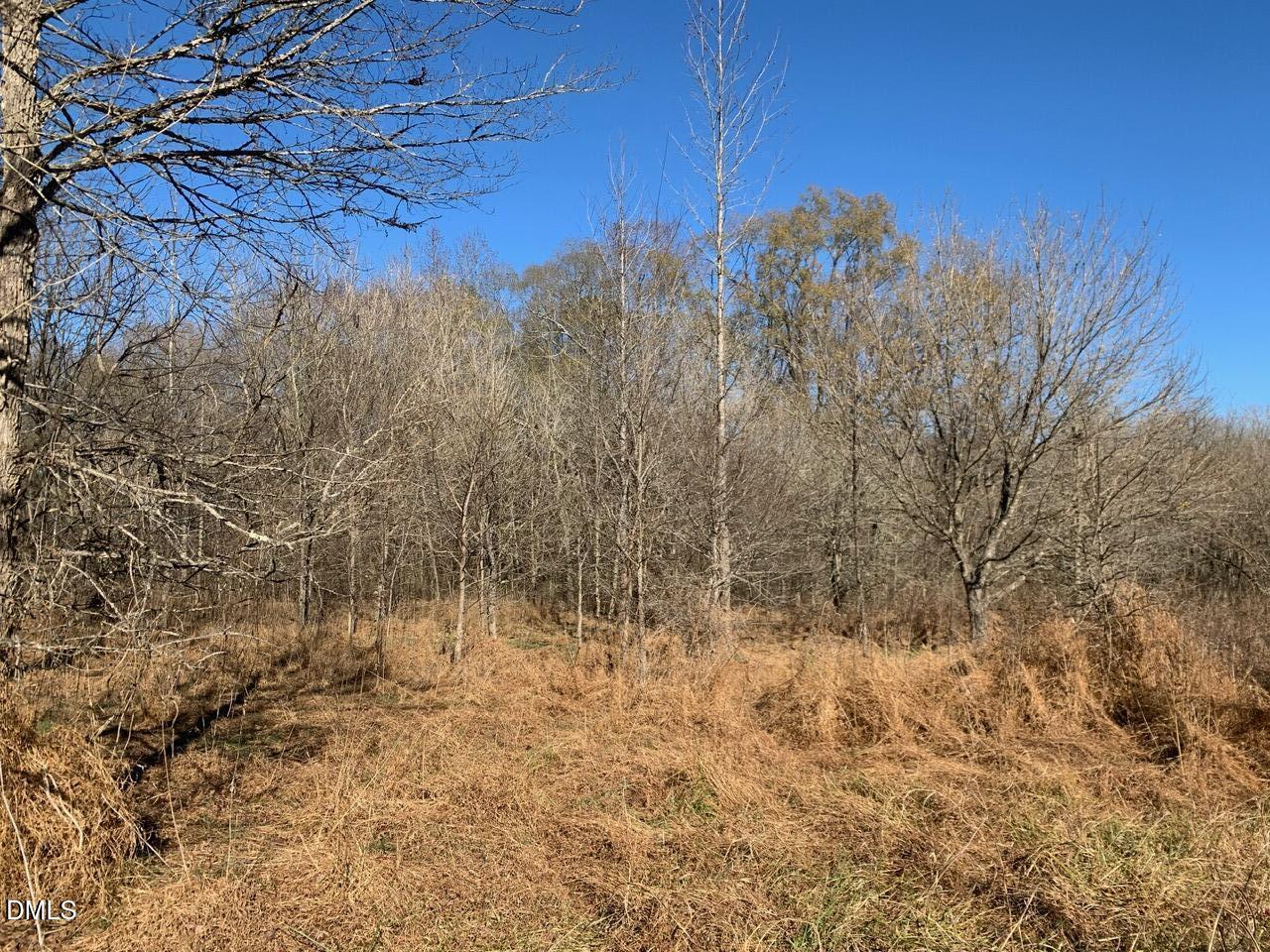 0 Rives Chapel Church Road Siler City, NC 27344 - Photo 19 of 23 a view of a yard with trees