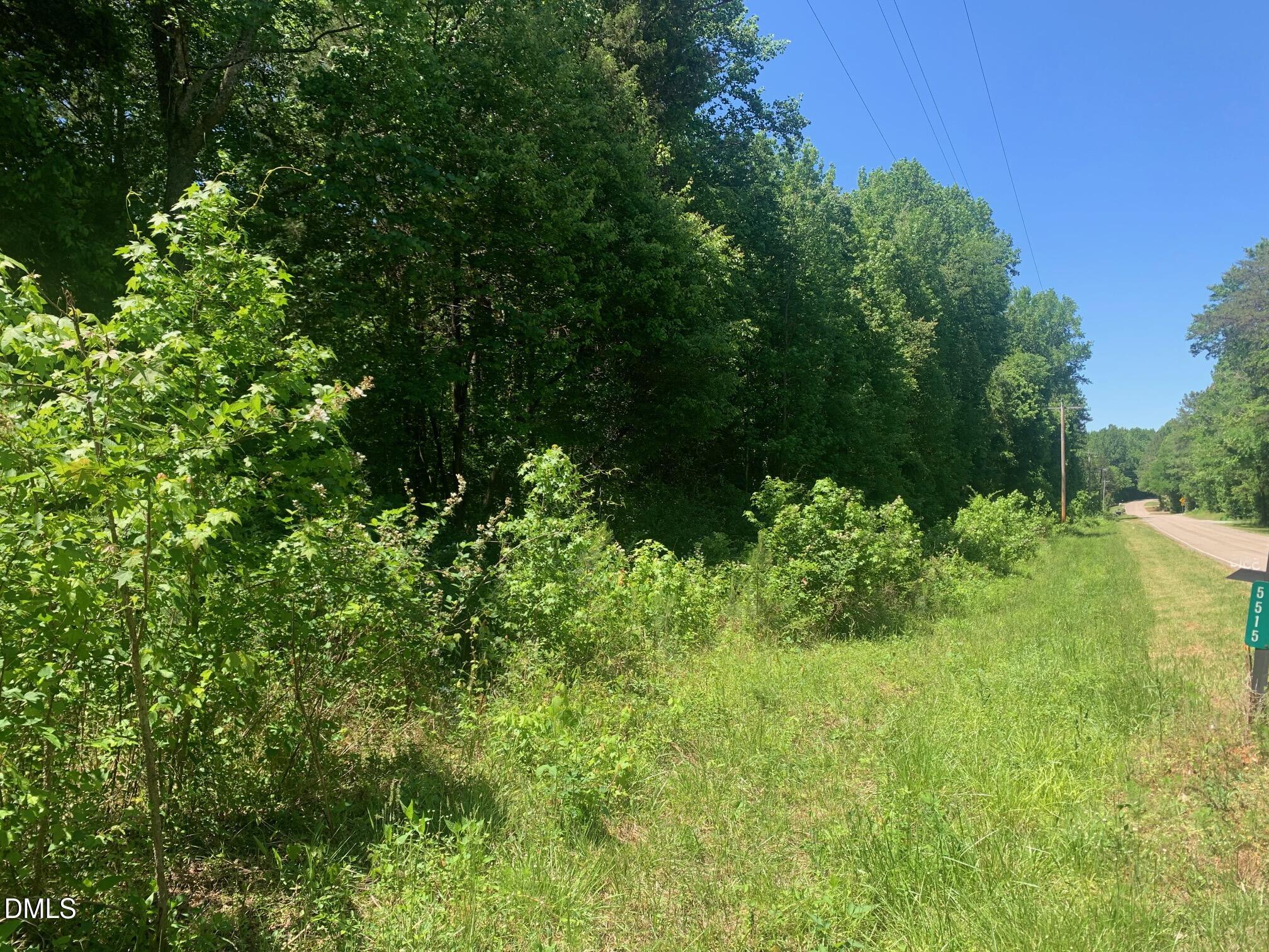 0 Rives Chapel Church Road Siler City, NC 27344 - Photo 22 of 23 a view of a garden with a tree