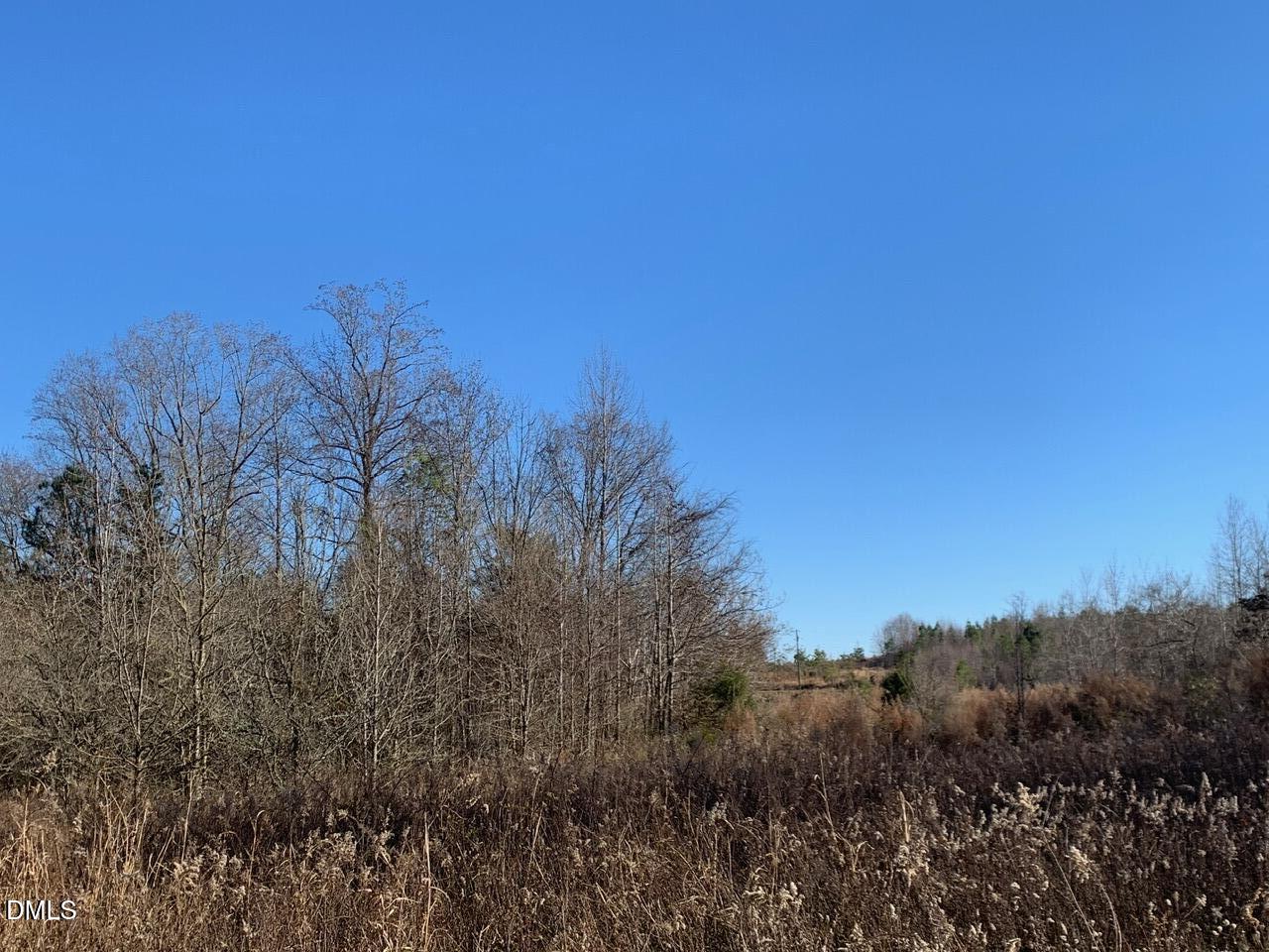 0 Rives Chapel Church Road Siler City, NC 27344 - Photo 4 of 14 r chap int lot7