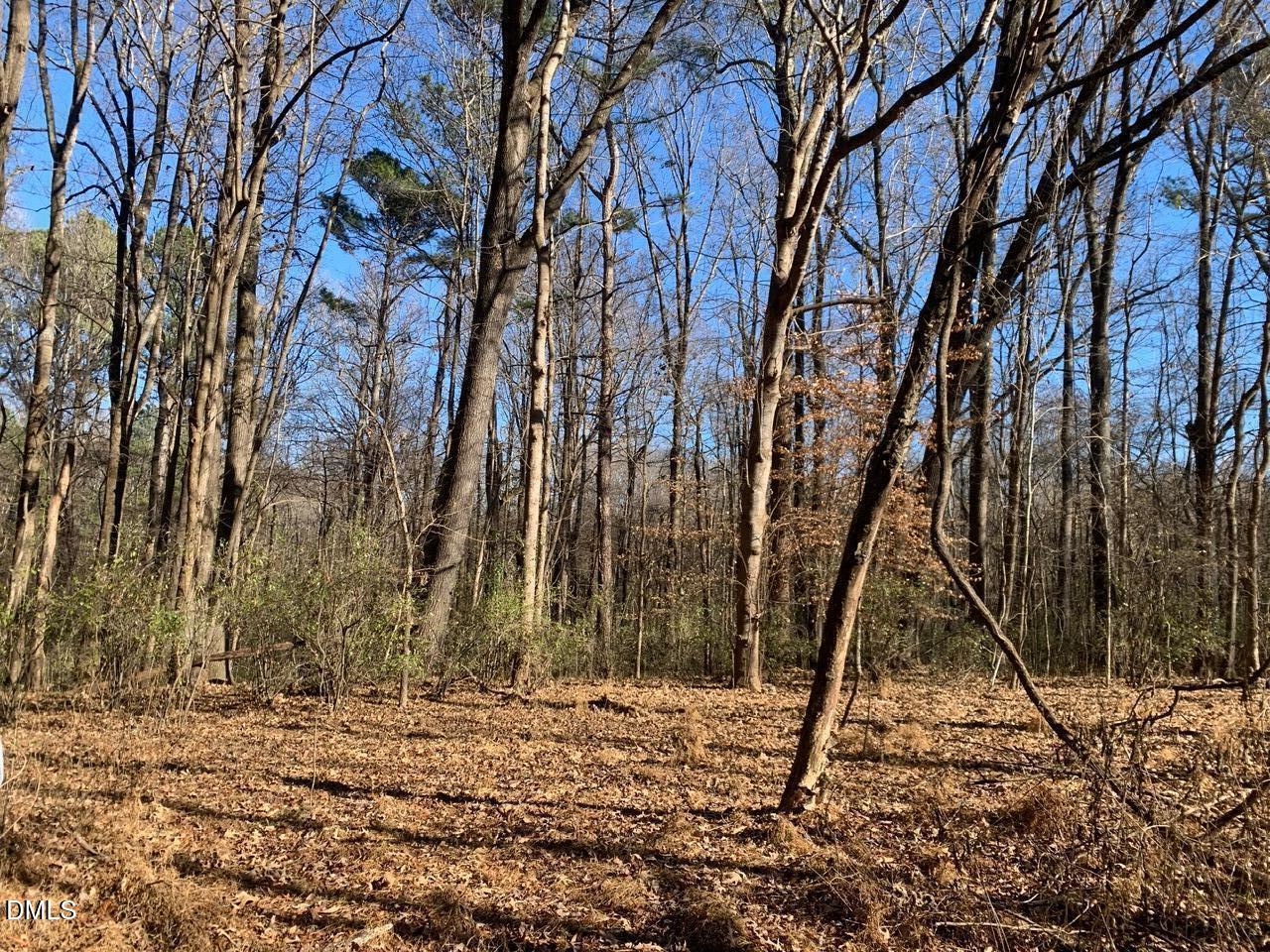 0 Rives Chapel Church Road Siler City, NC 27344 - Photo 5 of 23 a backyard of a house with lots of trees