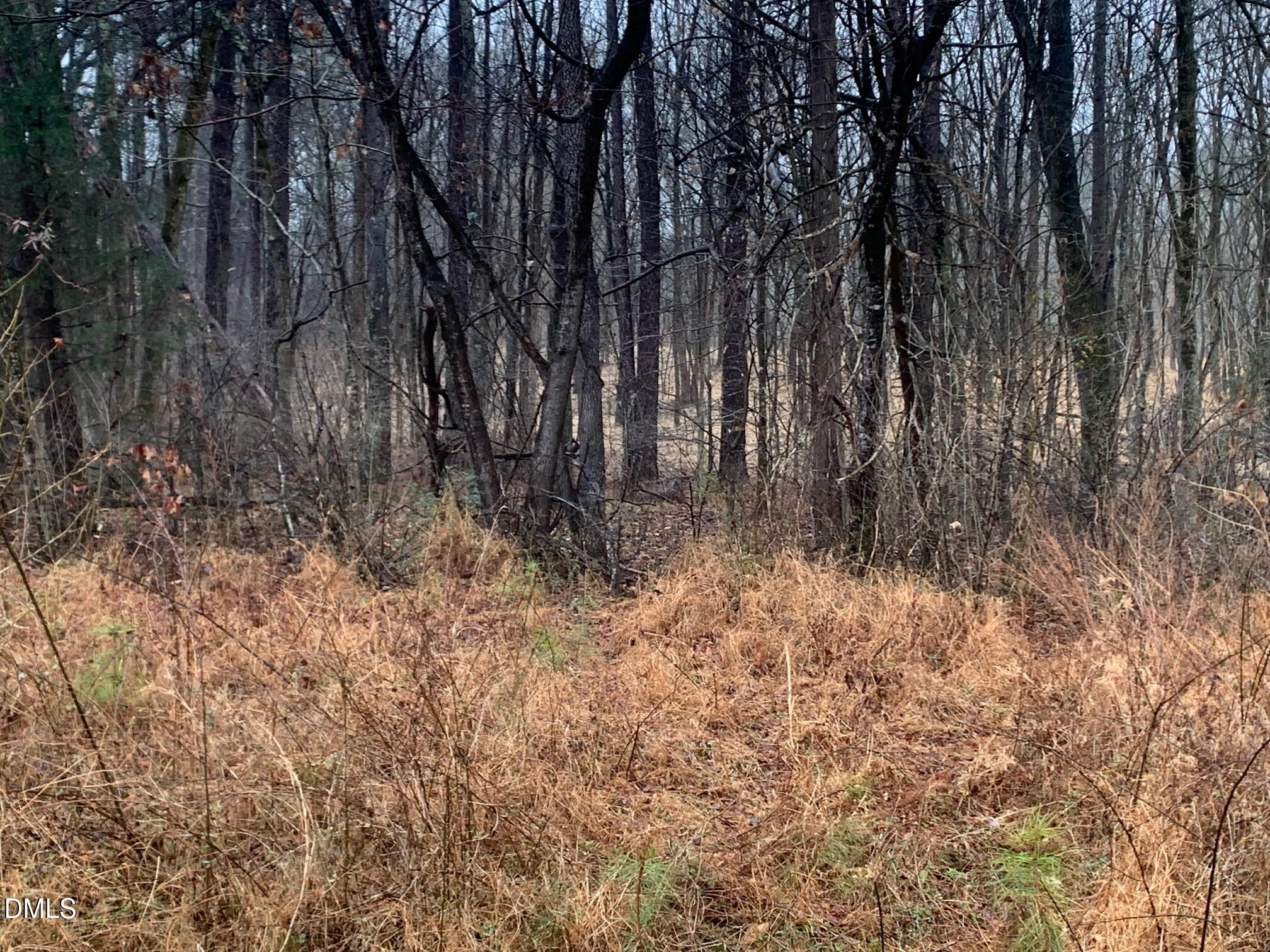 0 Rives Chapel Church Road Siler City, NC 27344 - Photo 6 of 14 r chap road view into lot2