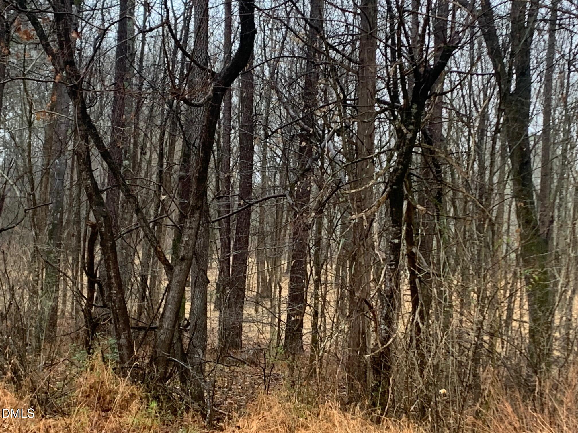 0 Rives Chapel Church Road Siler City, NC 27344 - Photo 8 of 14 r chap road view into lot3