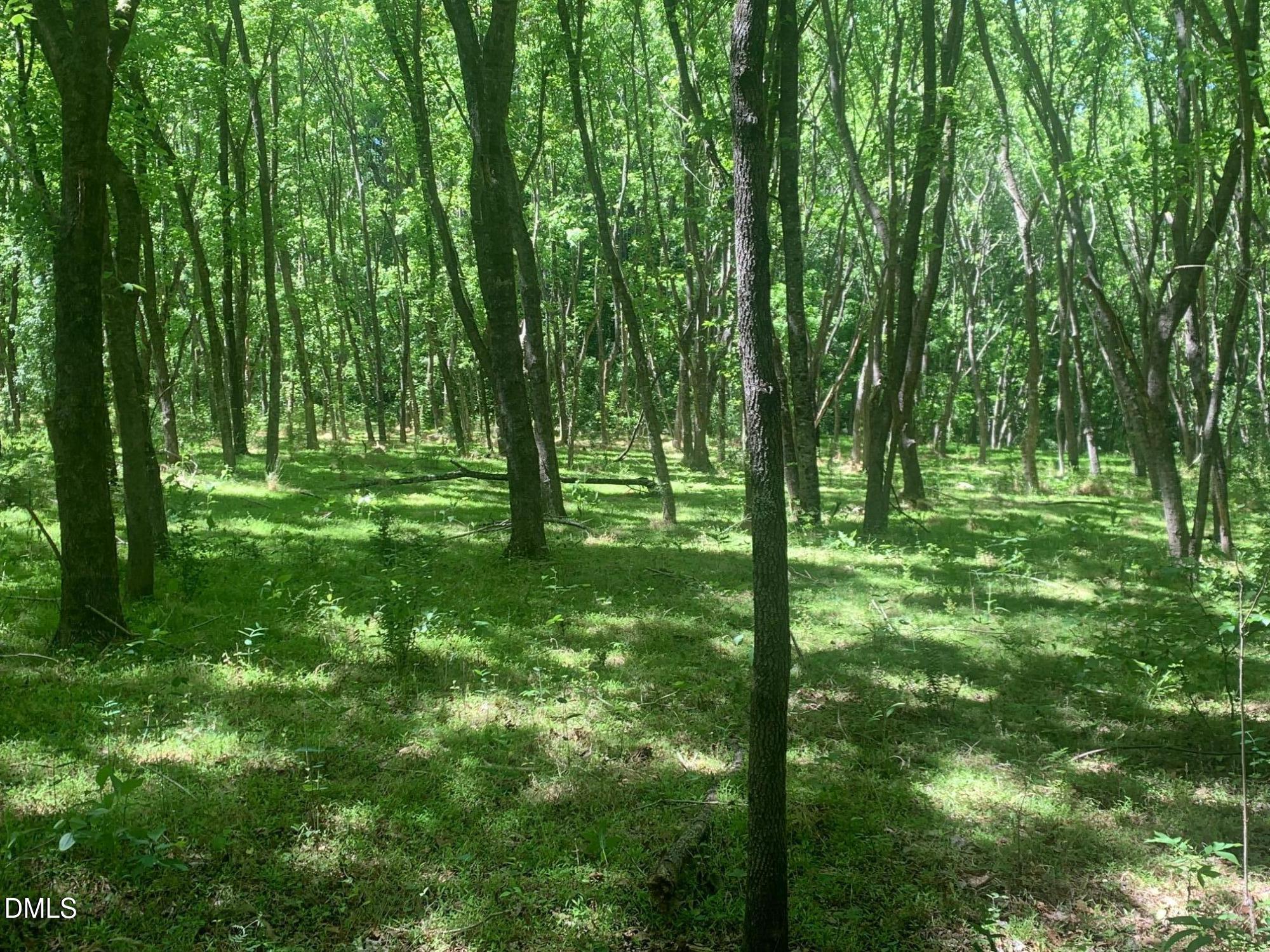 0 Rives Chapel Church Road Siler City, NC 27344 - Photo 8 of 23 a big yard with lots of green space and trees