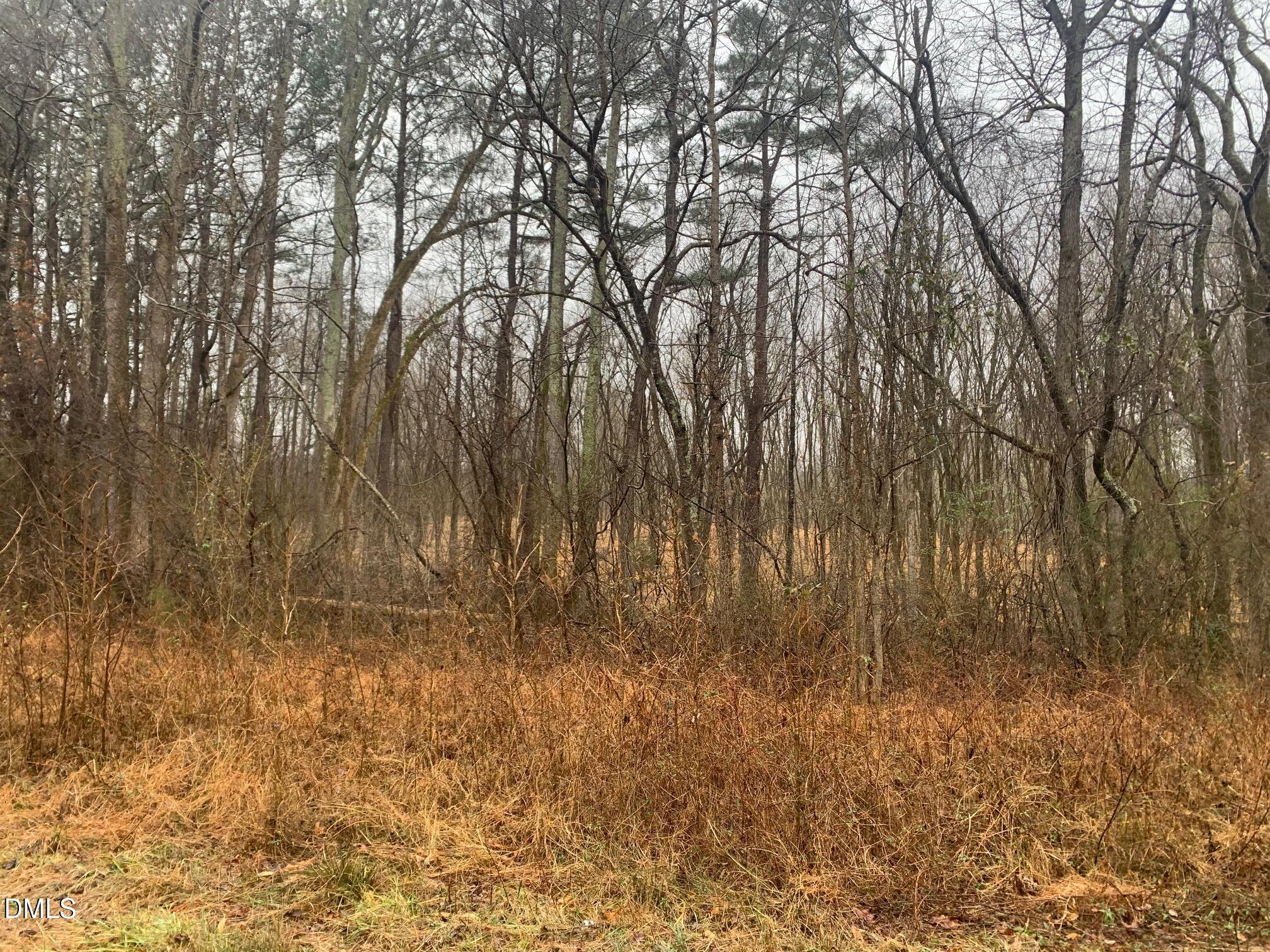 0 Rives Chapel Church Road Siler City, NC 27344 - Photo 9 of 23 r chap road view into lot 1