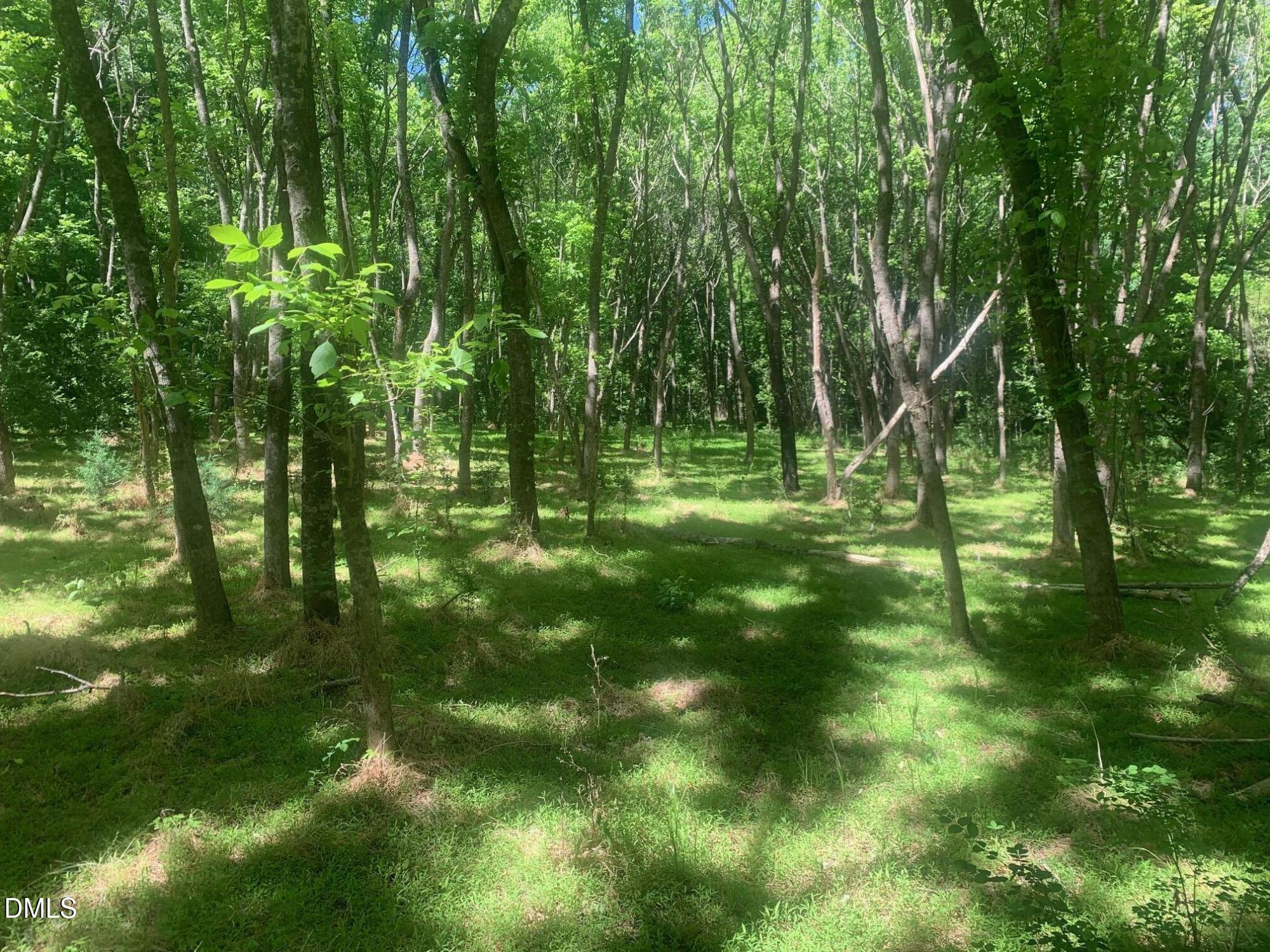 0 Rives Chapel Church Road Siler City, NC 27344 - Photo 10 of 23 a view of a green field with lots of trees