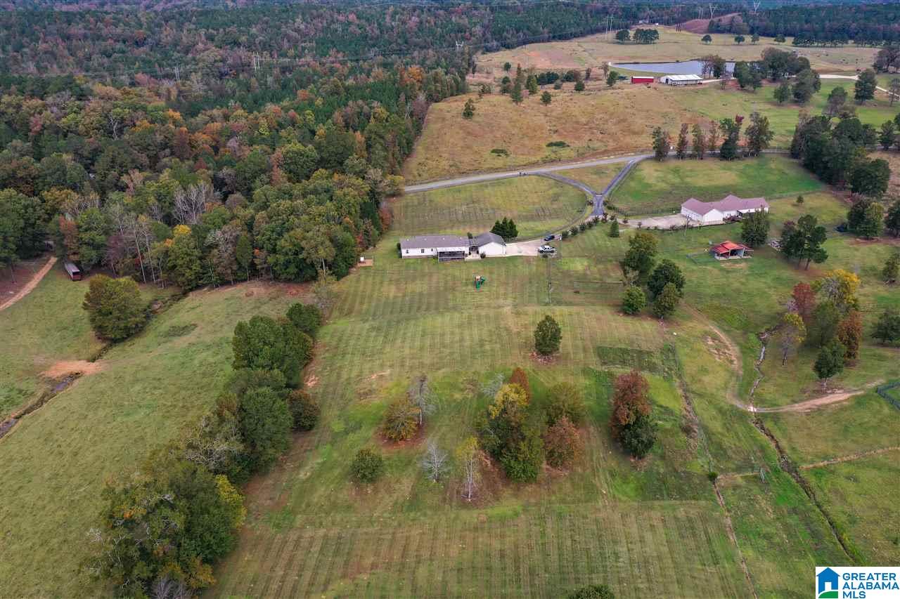 1614 Camp Branch Road West Blocton, AL 35184 - Photo 47 of 50
