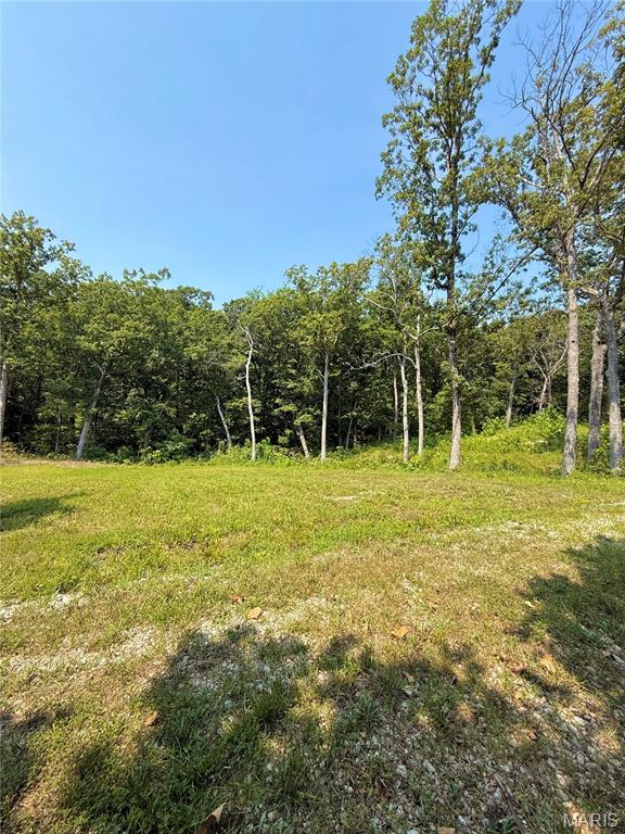 405 Mark Twain Loop Union, MO 63084 - Photo 4 of 10