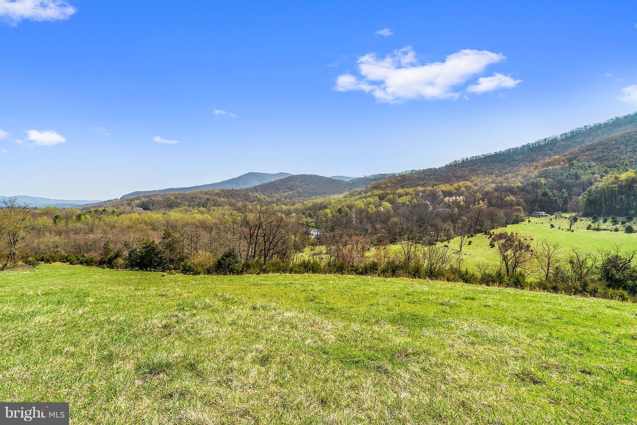 Balkamore Hill Road Stanley, VA 22851 - Photo 13 of 30 Exterior (General)