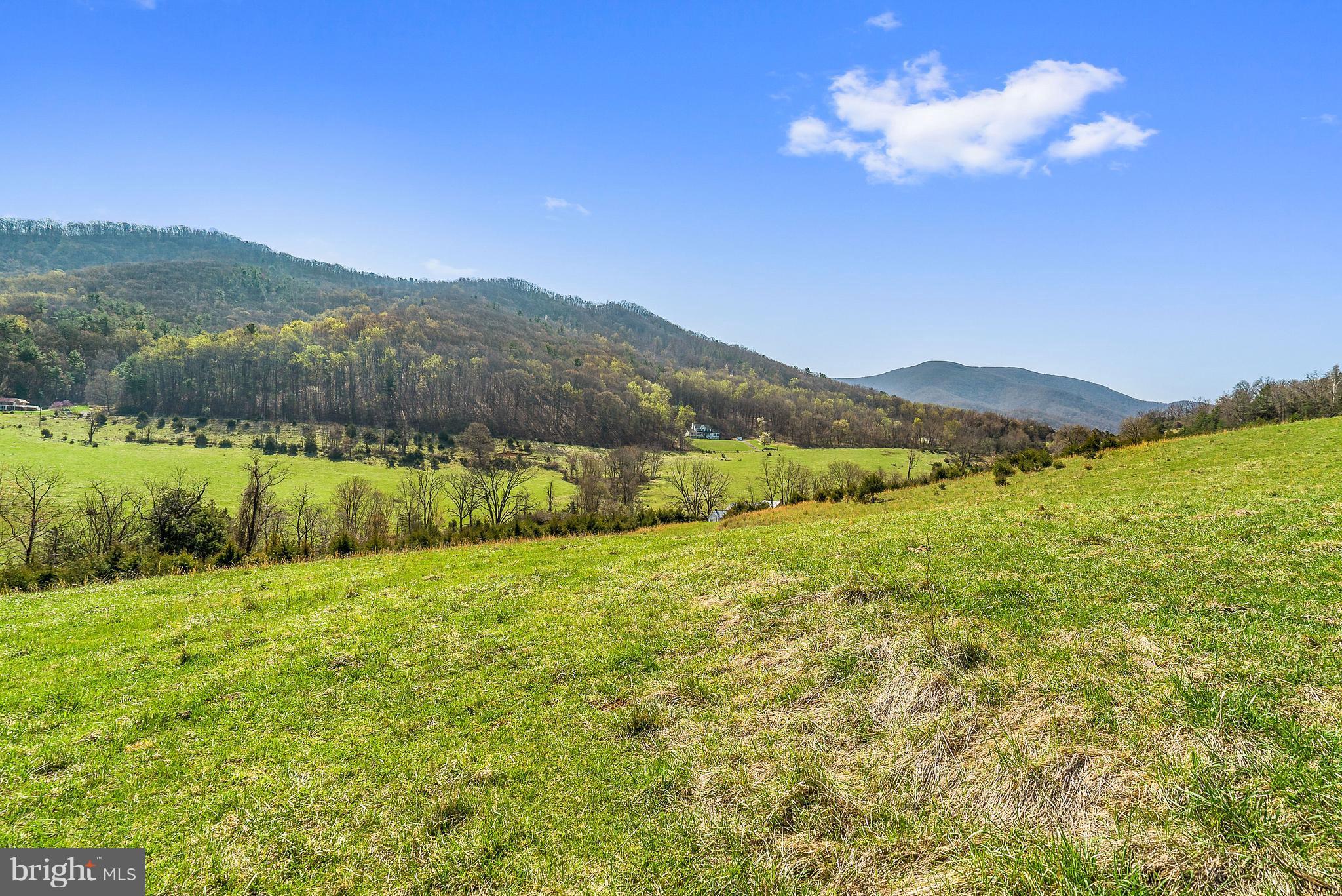 Balkamore Hill Road Stanley, VA 22851 - Photo 14 of 30 Exterior (General)