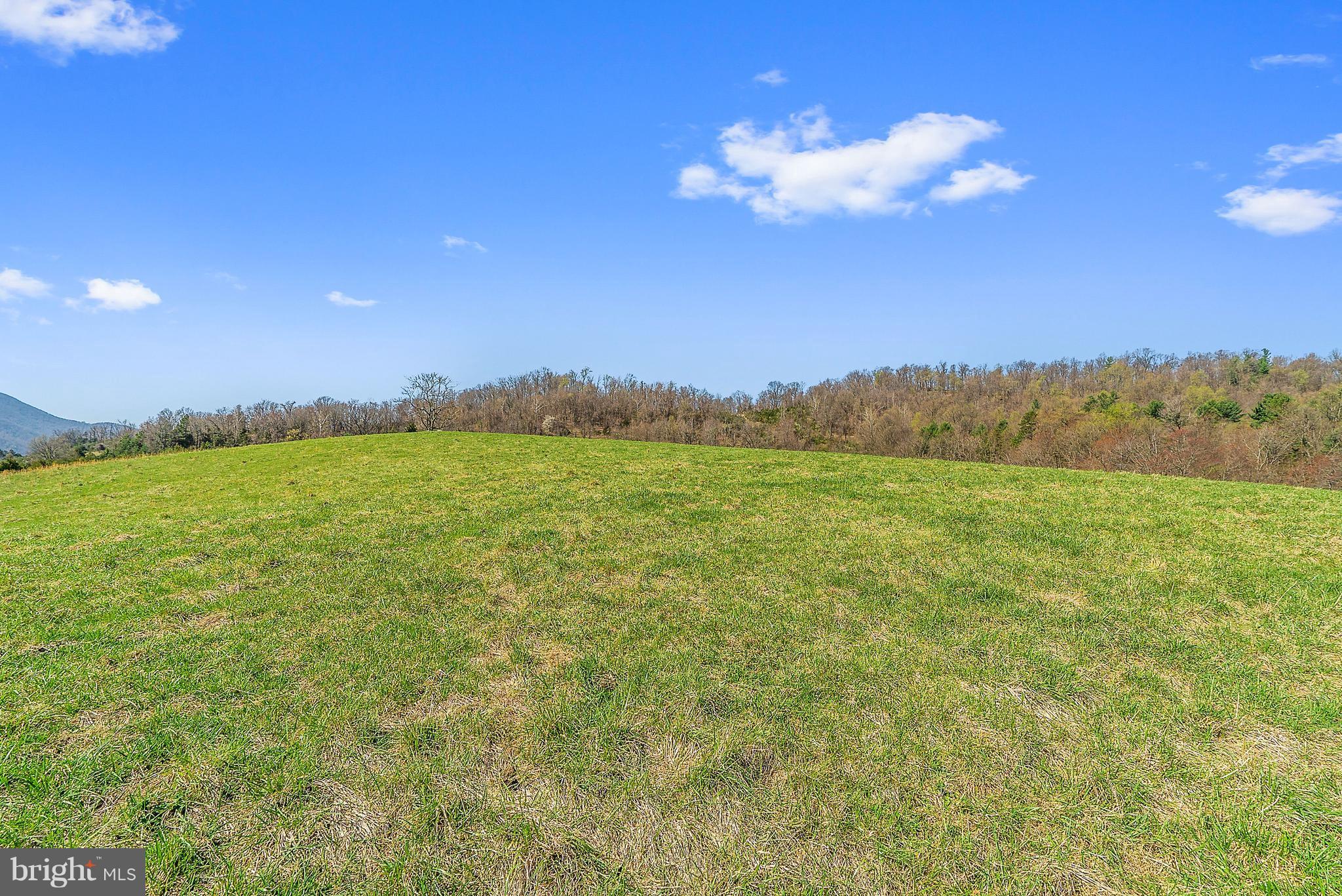 Balkamore Hill Road Stanley, VA 22851 - Photo 15 of 30 Exterior (General)