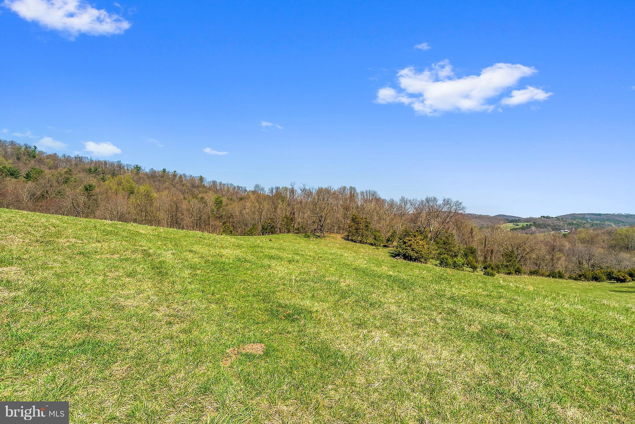Balkamore Hill Road Stanley, VA 22851 - Photo 16 of 30 Exterior (General)