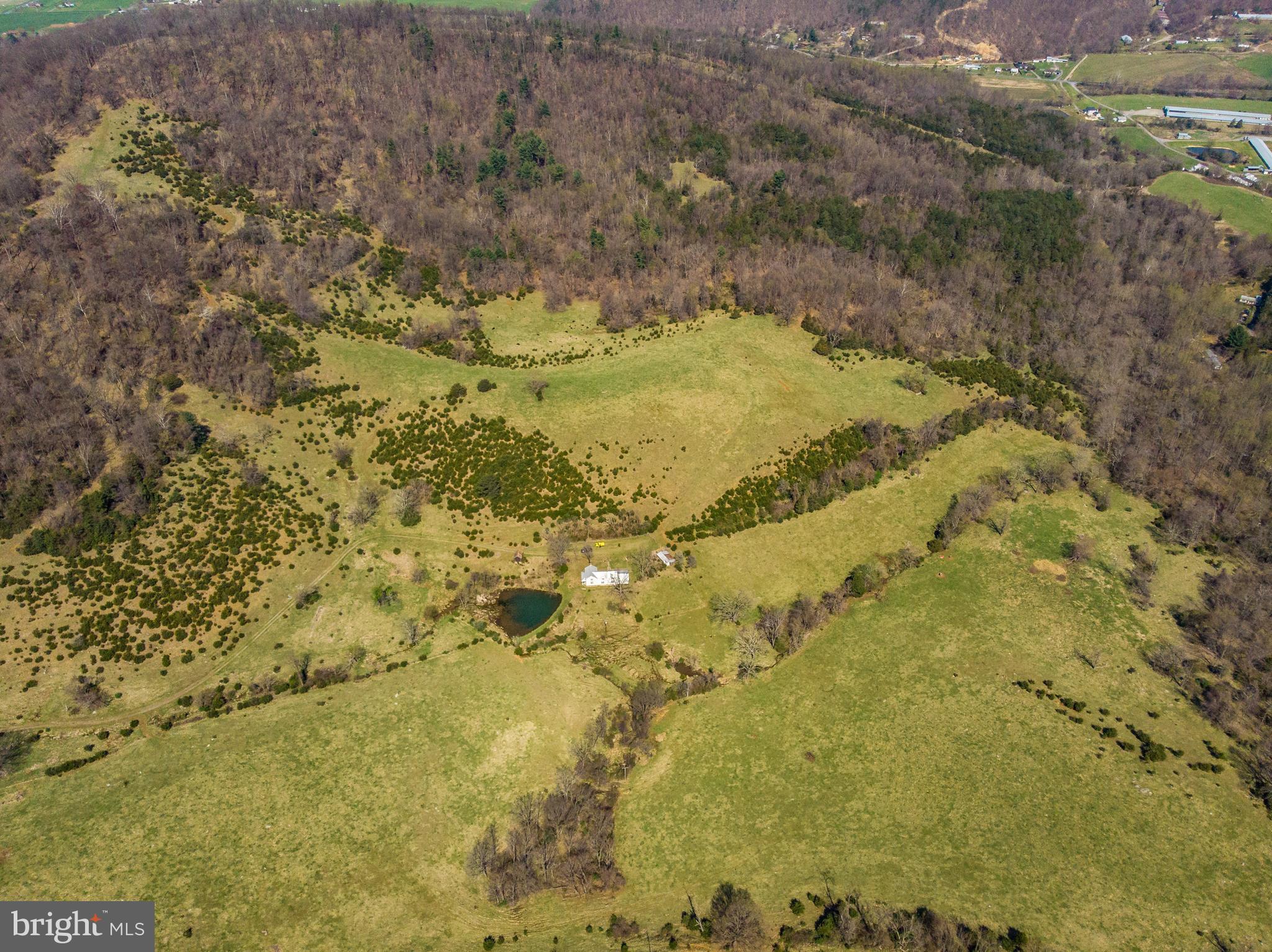 Balkamore Hill Road Stanley, VA 22851 - Photo 6 of 30 Exterior (General)