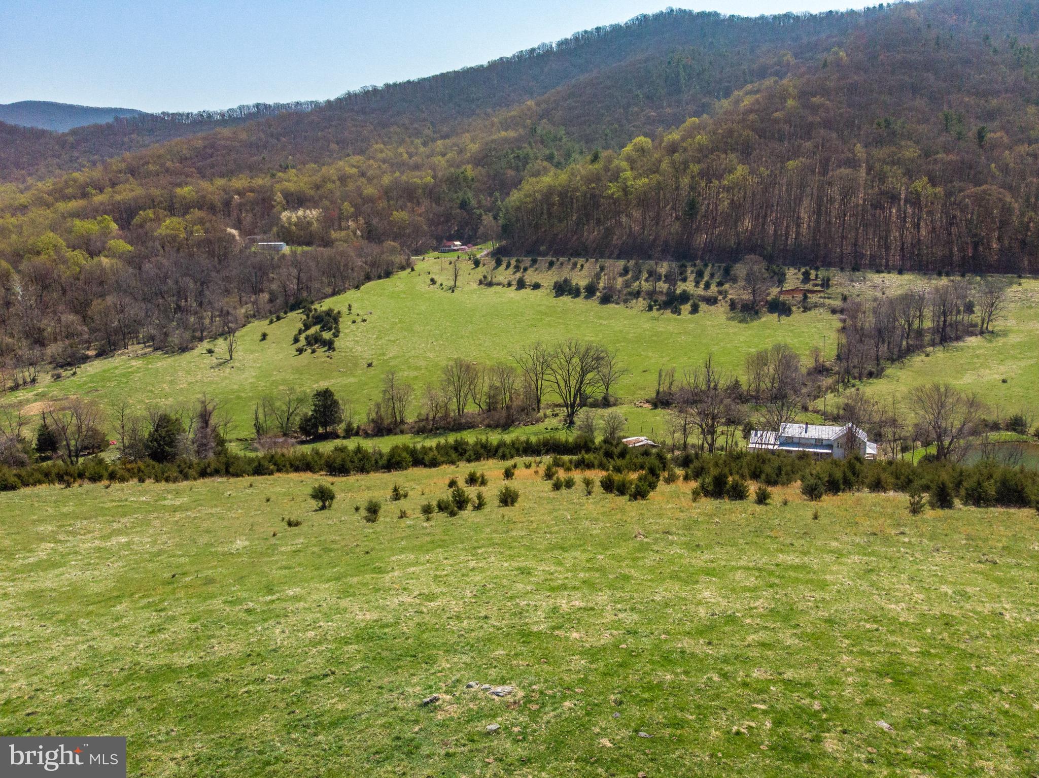 Balkamore Hill Road Stanley, VA 22851 - Photo 9 of 30 Exterior (General)