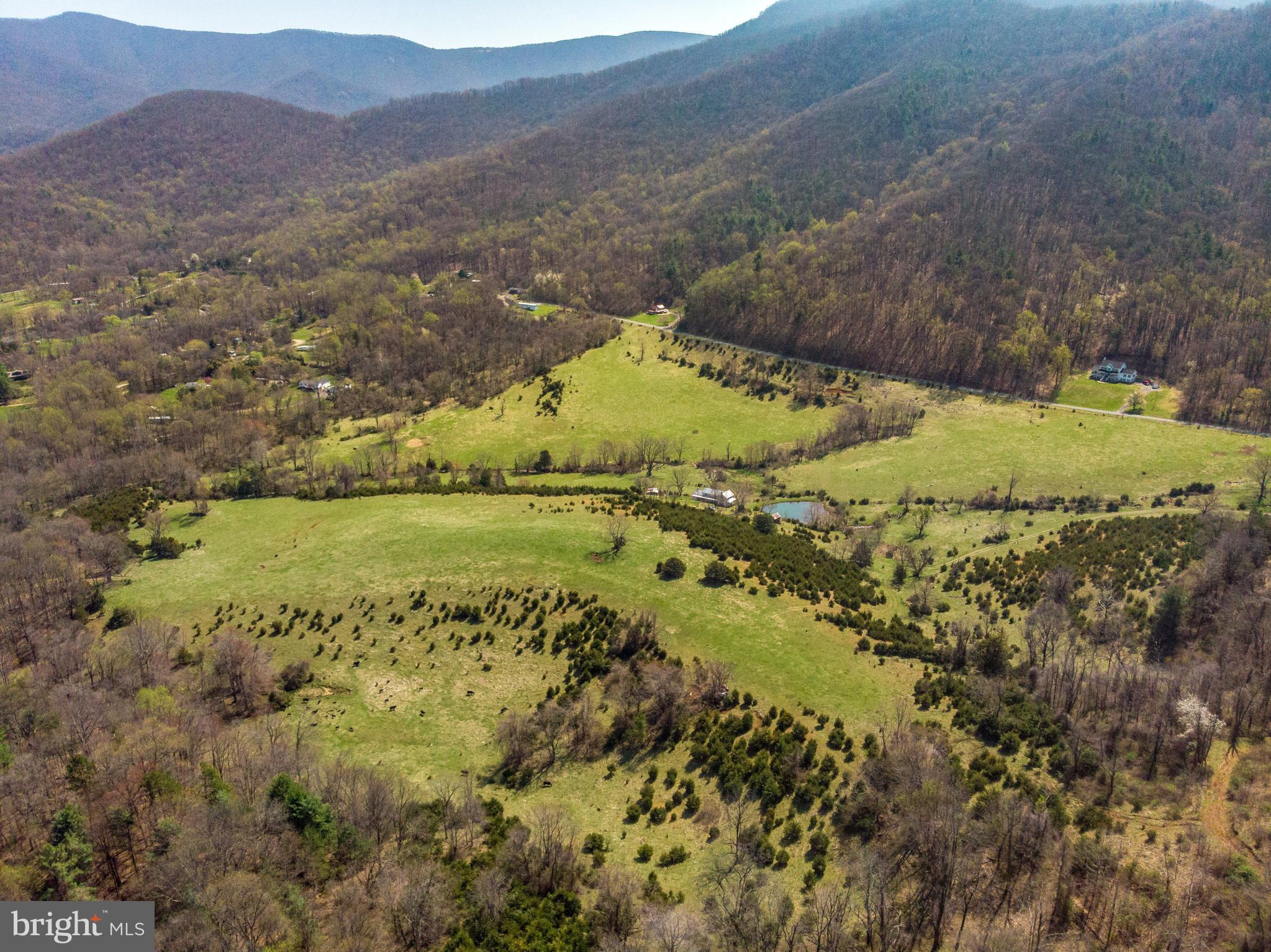 Balkamore Hill Road Stanley, VA 22851 - Photo 10 of 30 Exterior (General)