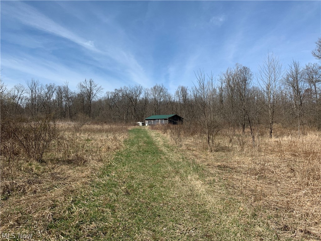 Crawford Road Homerville, OH 44235 - Photo 3 of 35 Gallery Image 3