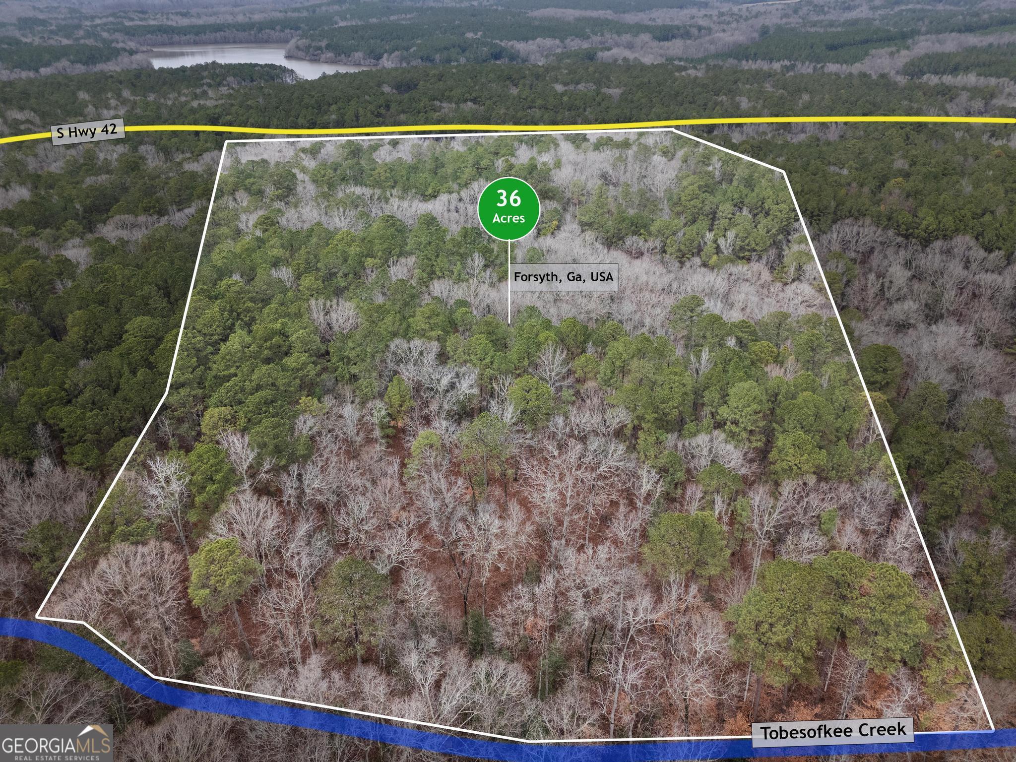 0 South 42nd Highway Forsyth, GA 31029 - Photo 1 of 13 a view of outdoor space and swimming pool