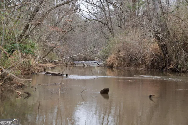 a view of a forest filled with trees