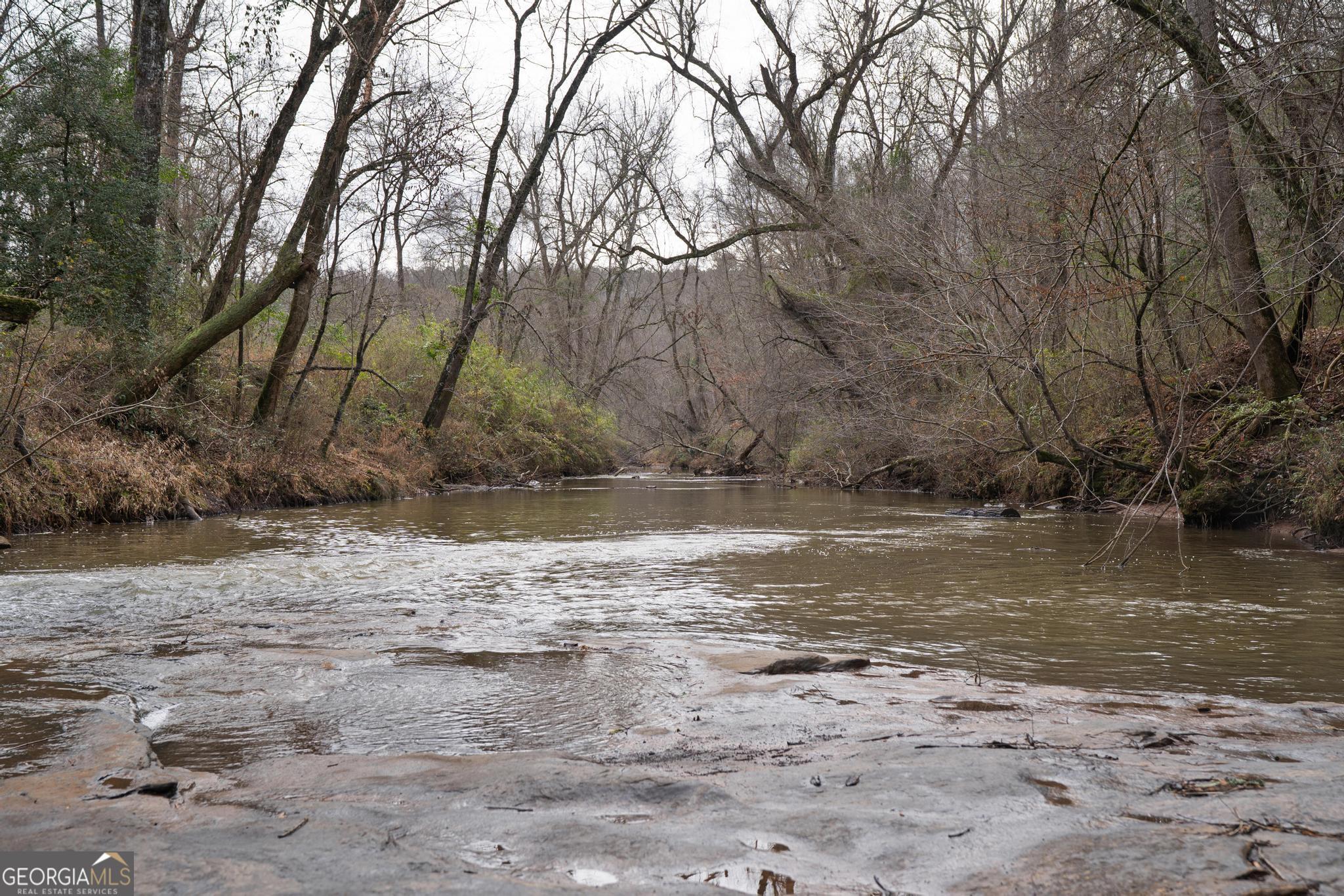 0 South 42nd Highway Forsyth, GA 31029 - Photo 12 of 13