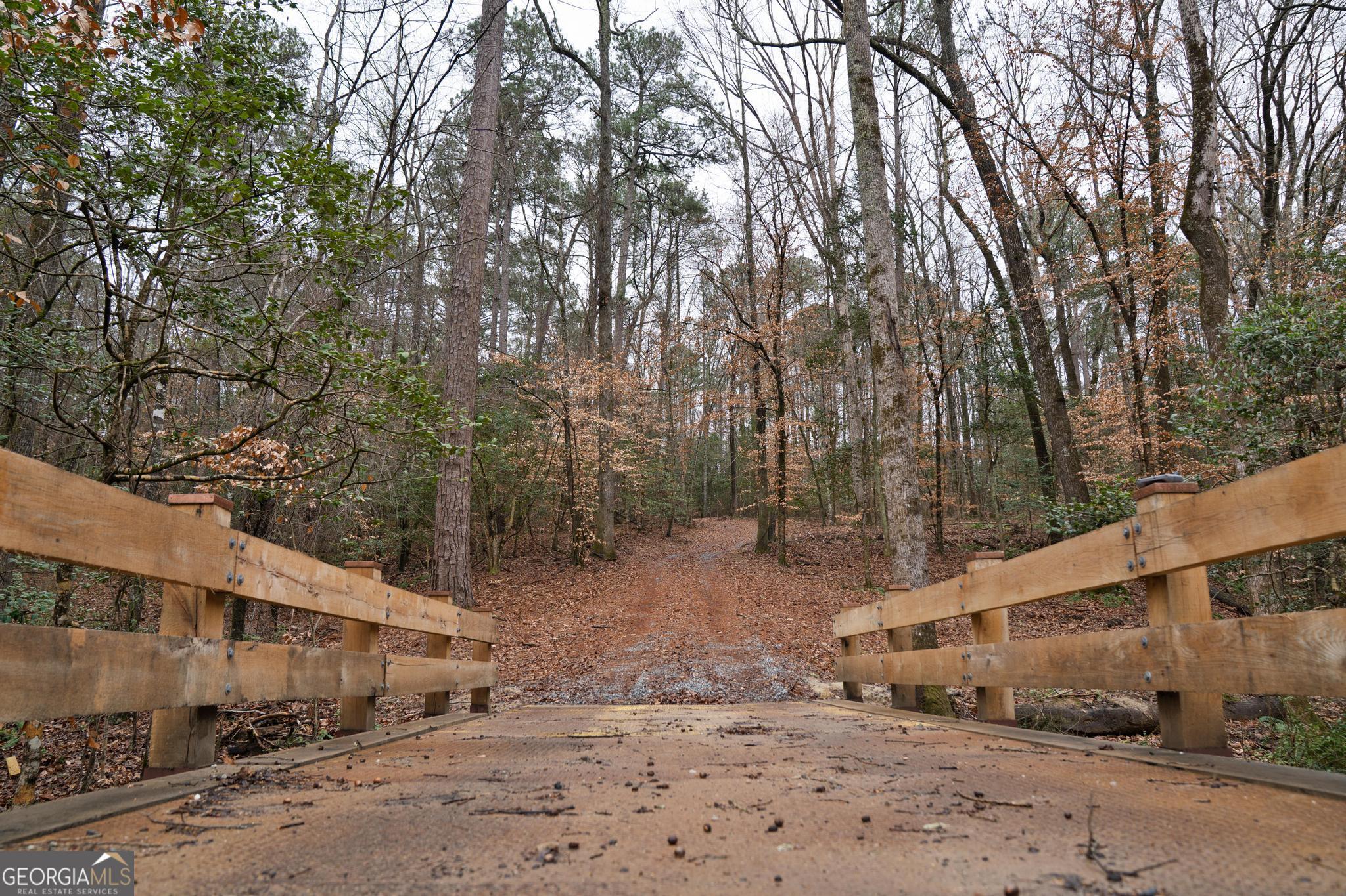 0 South 42nd Highway Forsyth, GA 31029 - Photo 3 of 13 a view of a yard with large trees
